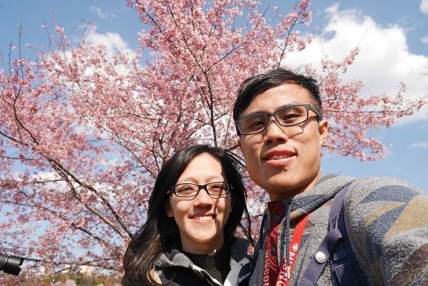 P1070646.JPG P1070646.JPG