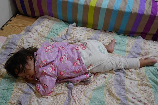 P1270545.JPG P1270545.JPG