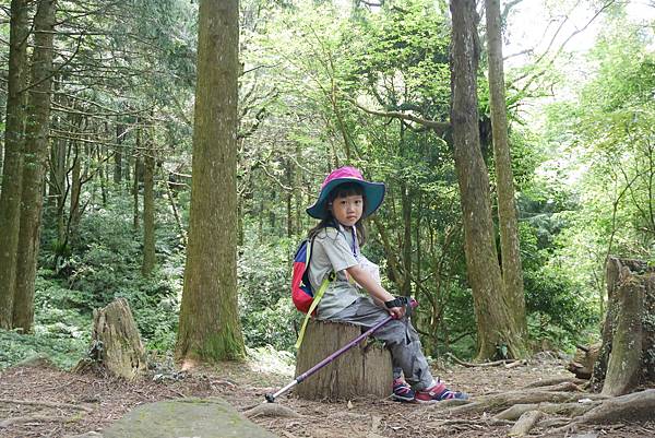 P1130761.JPG P1130761.JPG