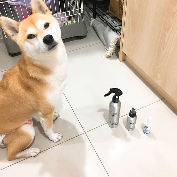 IMG_9457 2.JPG IMG_9457 2.JPG