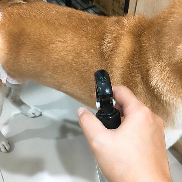 IMG_9460 2.JPG IMG_9460 2.JPG