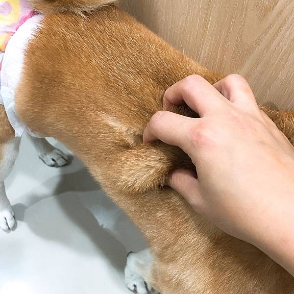 IMG_9461.JPG IMG_9461.JPG