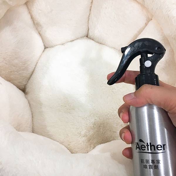 IMG_9284.JPG IMG_9284.JPG