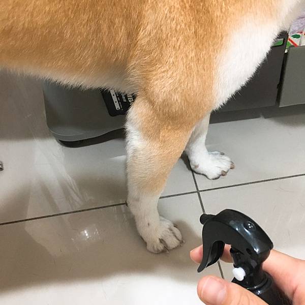 IMG_9462.JPG IMG_9462.JPG