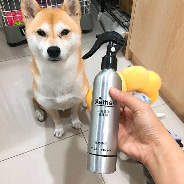 IMG_9459 2.JPG IMG_9459 2.JPG