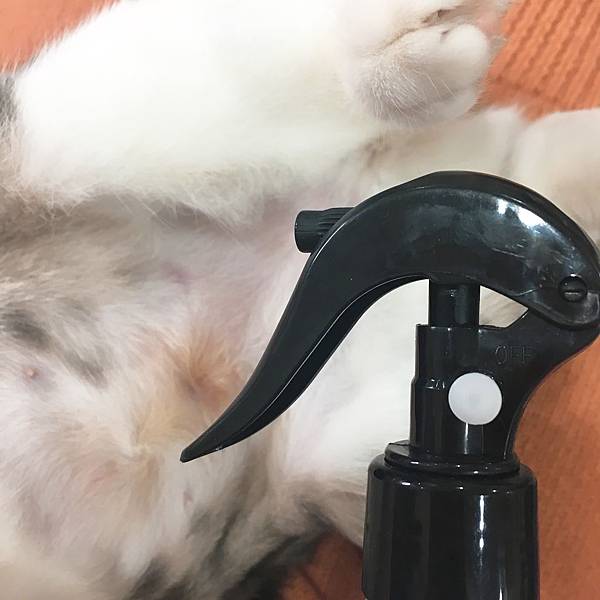 IMG_9842.JPG IMG_9842.JPG