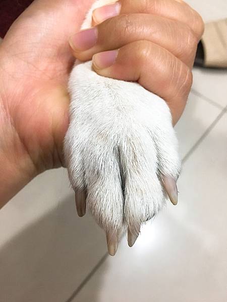 IMG_0260.JPG IMG_0260.JPG