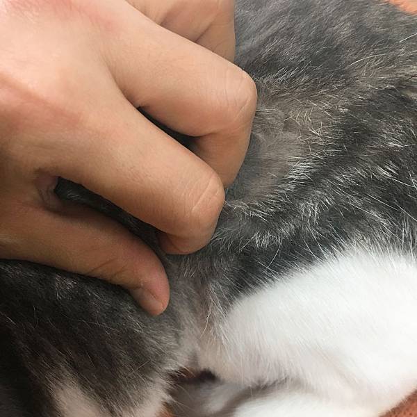 IMG_9843.JPG IMG_9843.JPG