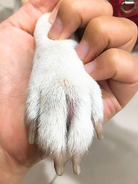 IMG_0259.JPG IMG_0259.JPG