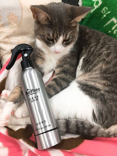 IMG_0269.JPG IMG_0269.JPG