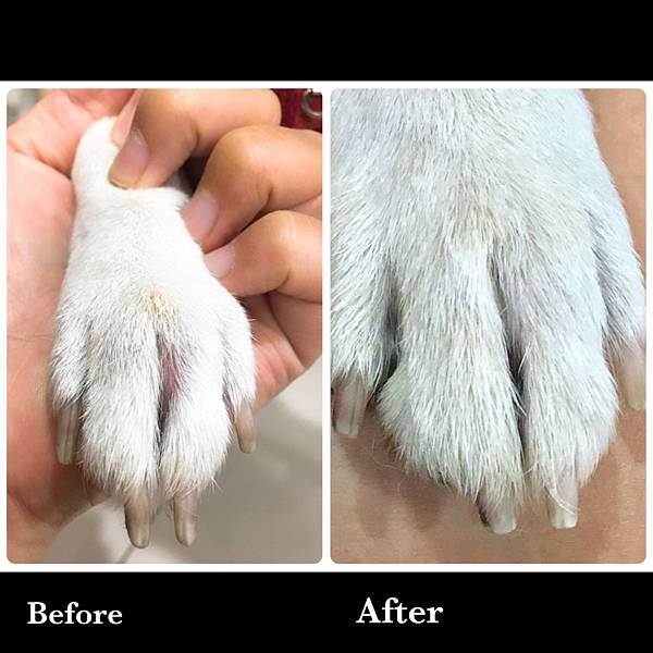 IMG_0529 2.JPG IMG_0529 2.JPG