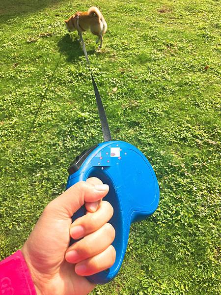 IMG_1197.JPG IMG_1197.JPG