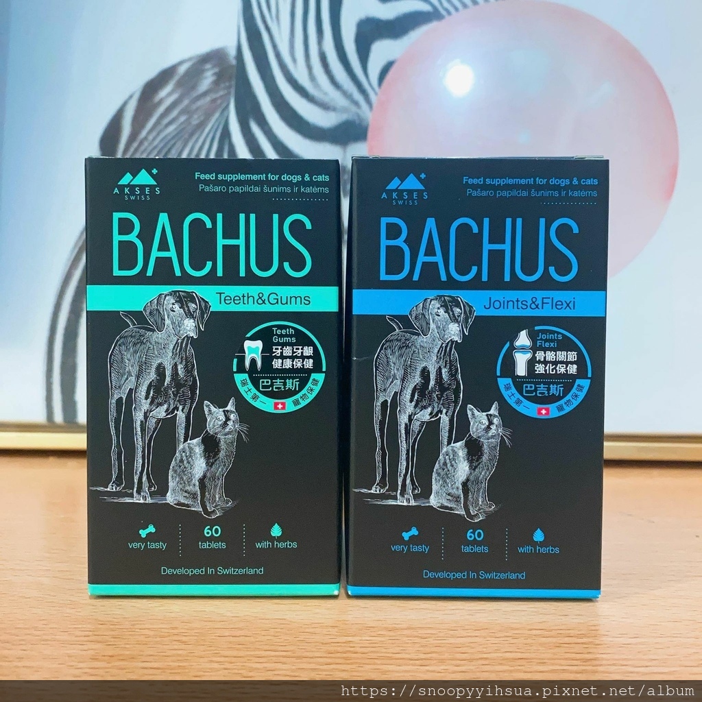 ≡寵物≡BACHUS瑞士巴吉斯 新品上市 保健錠開箱 骨骼關