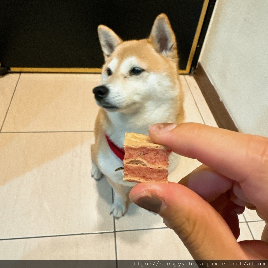 ≡寵物≡寵物廚房 台灣在地品牌 美味安心 狗狗零食推薦