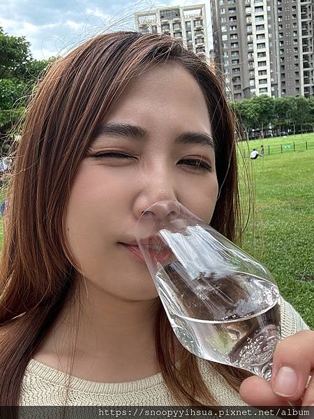 ≡美食≡公主駕到氣泡水蜜桃果醋 果醋氣泡飲推薦 聚會無酒精飲