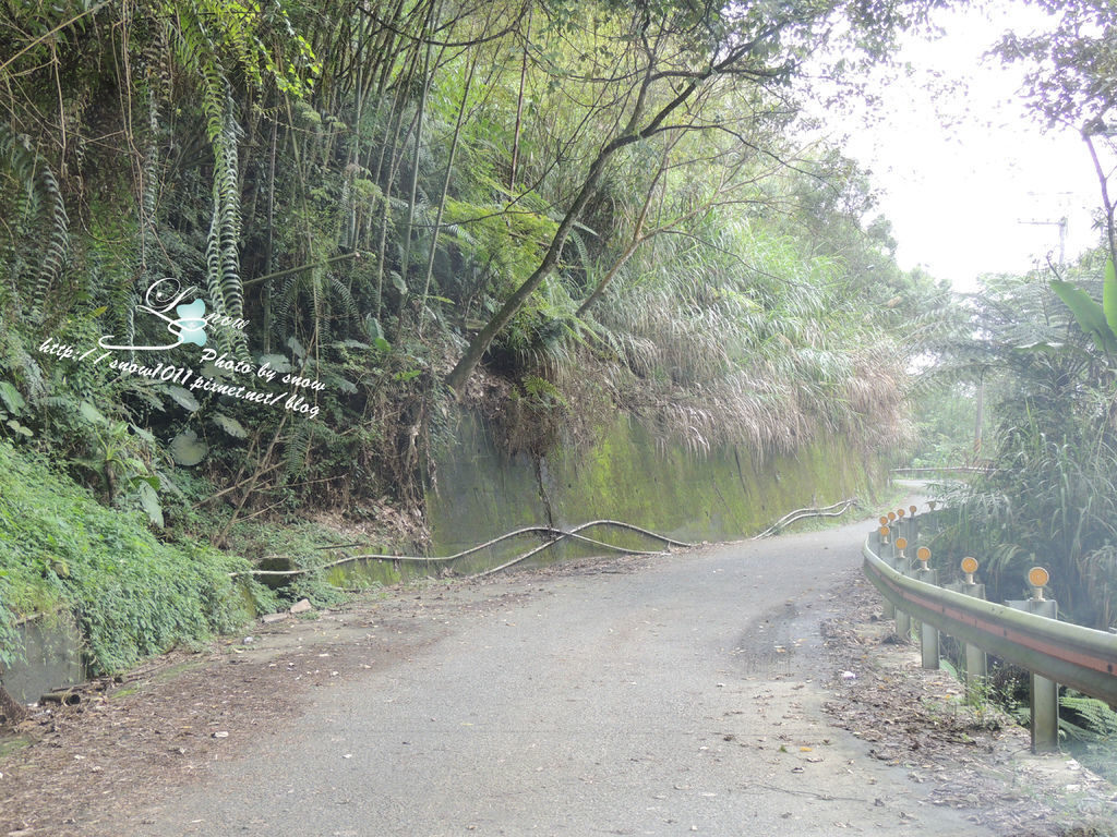 沿途風景