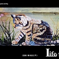 菁埔貓世界-15.jpg