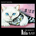 菁埔貓世界-21.jpg