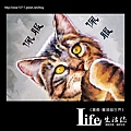 菁埔貓世界-30.jpg