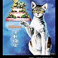 菁埔貓世界-39.jpg