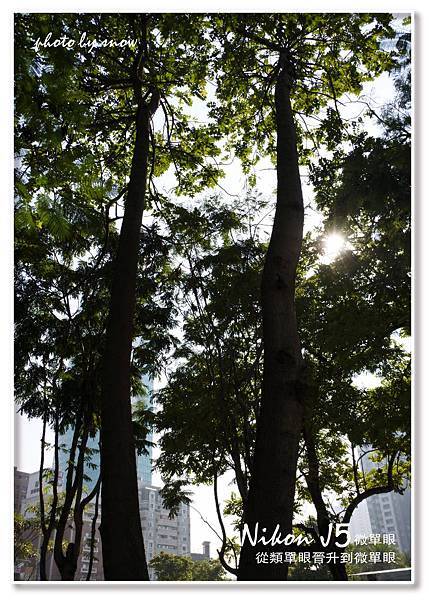 105.01.13 台中勤美誠品綠園道-直-2.jpg