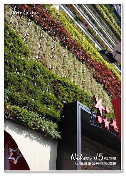 105.01.13 台中勤美誠品綠園道-直.jpg