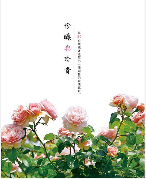 EDM05 (1).jpg 試用