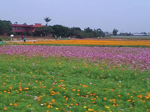 富岡花海