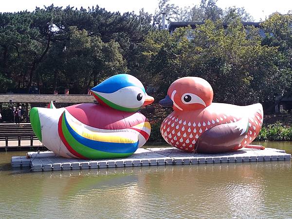 新竹公園麗池逛逛