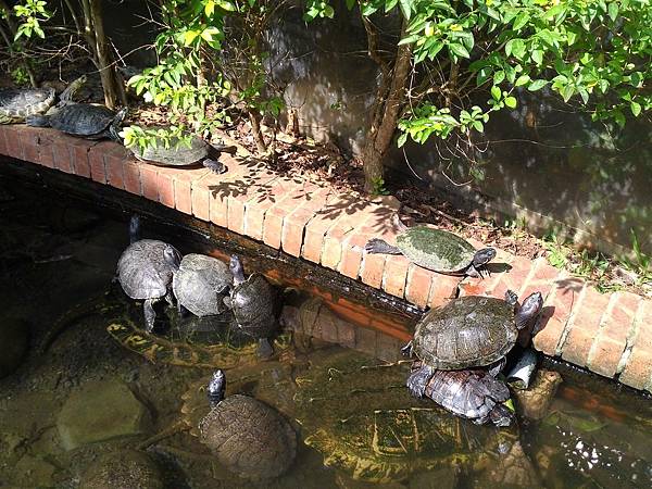 新竹動物園