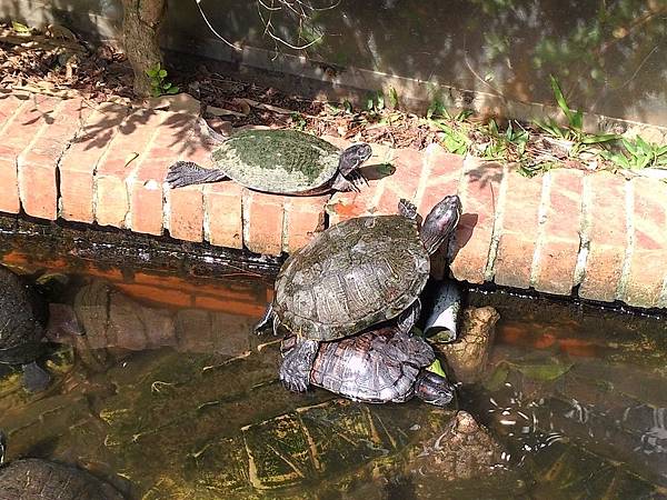 新竹動物園