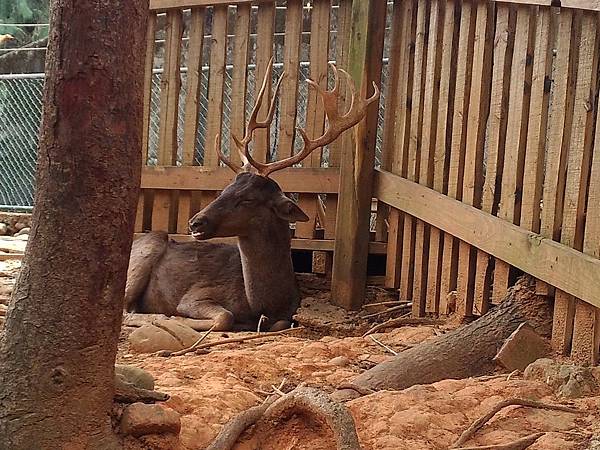 新竹動物園