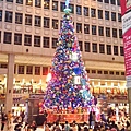 台北火車站聖誕樹~佑佑拍的
