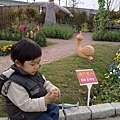 20110207772.jpg