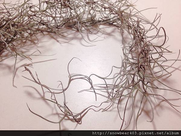 %E6%9C%AA%E5%91%BD%E5%90%8D