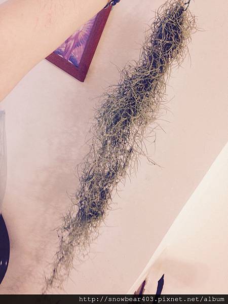 %E6%9C%AA%E5%91%BD%E5%90%8D