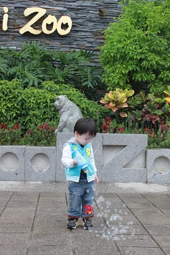 我們來去動物園玩