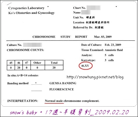 羊膜穿刺101.jpg