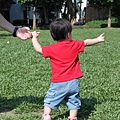 IMG_3126.JPG