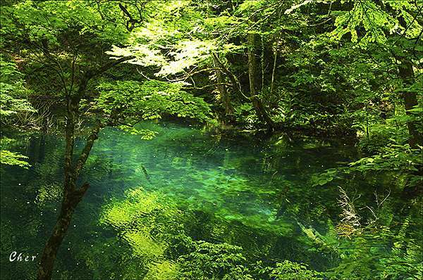 日本白神山地十二湖 旅人的天空 痞客邦 日本白神山地十二湖 旅人的天空 痞客邦