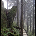 太平山莊步道