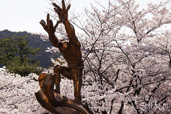 岡崎疏水