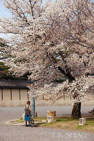 京都御苑