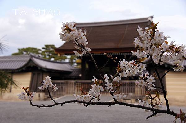 京都御苑