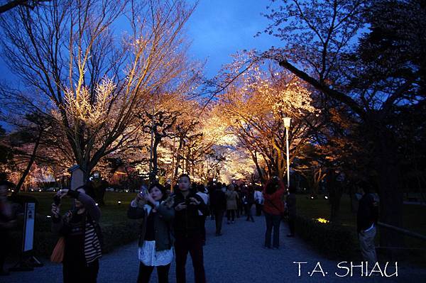 京都‧二条城