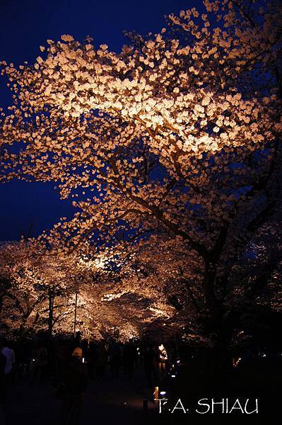 京都‧二条城