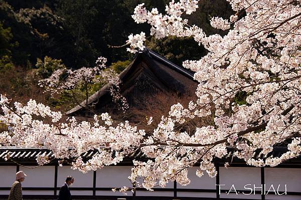 京都‧南禪寺