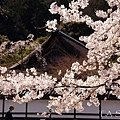 京都‧南禪寺