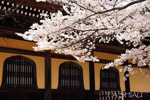 京都‧南禪寺