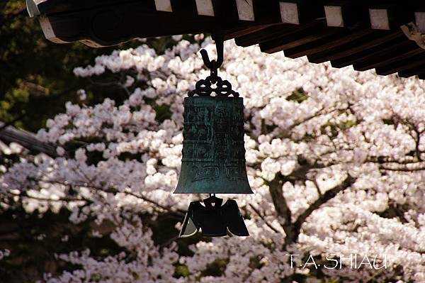 京都‧南禪寺